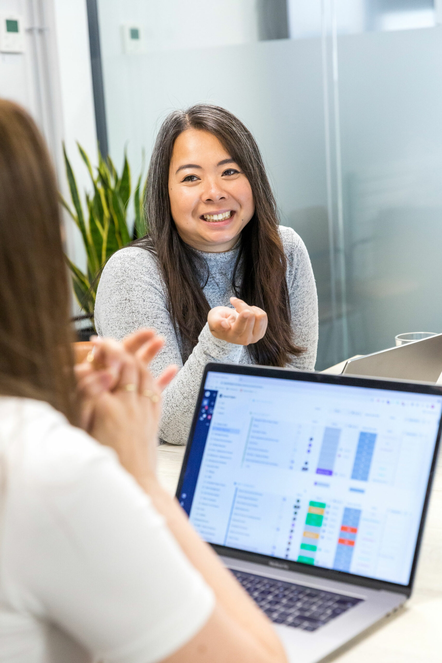 wordpress development agency